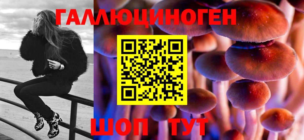 Псилоцибиновые грибы прущие грибы  Псилоцибиновые грибы MAGIC MUSHROOMS  Чехов  Вход с VPN 